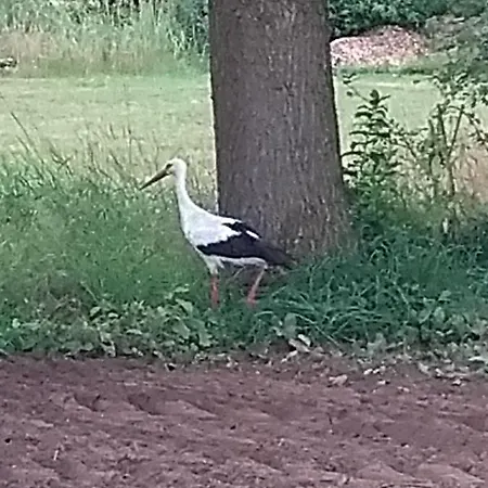 Huette Kroetenhof, Radfahrer Uebernachtung Luxussátor